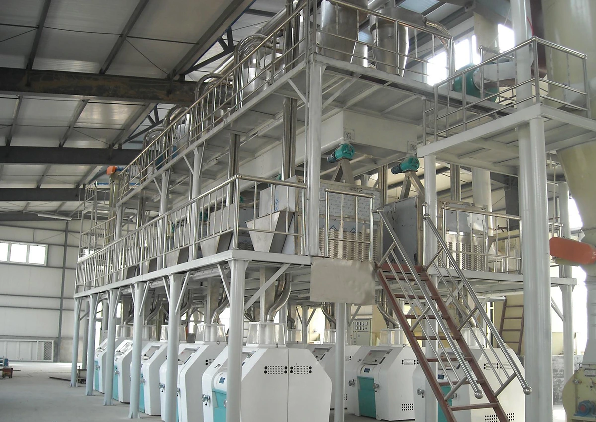 Wheat Flour Milling Project