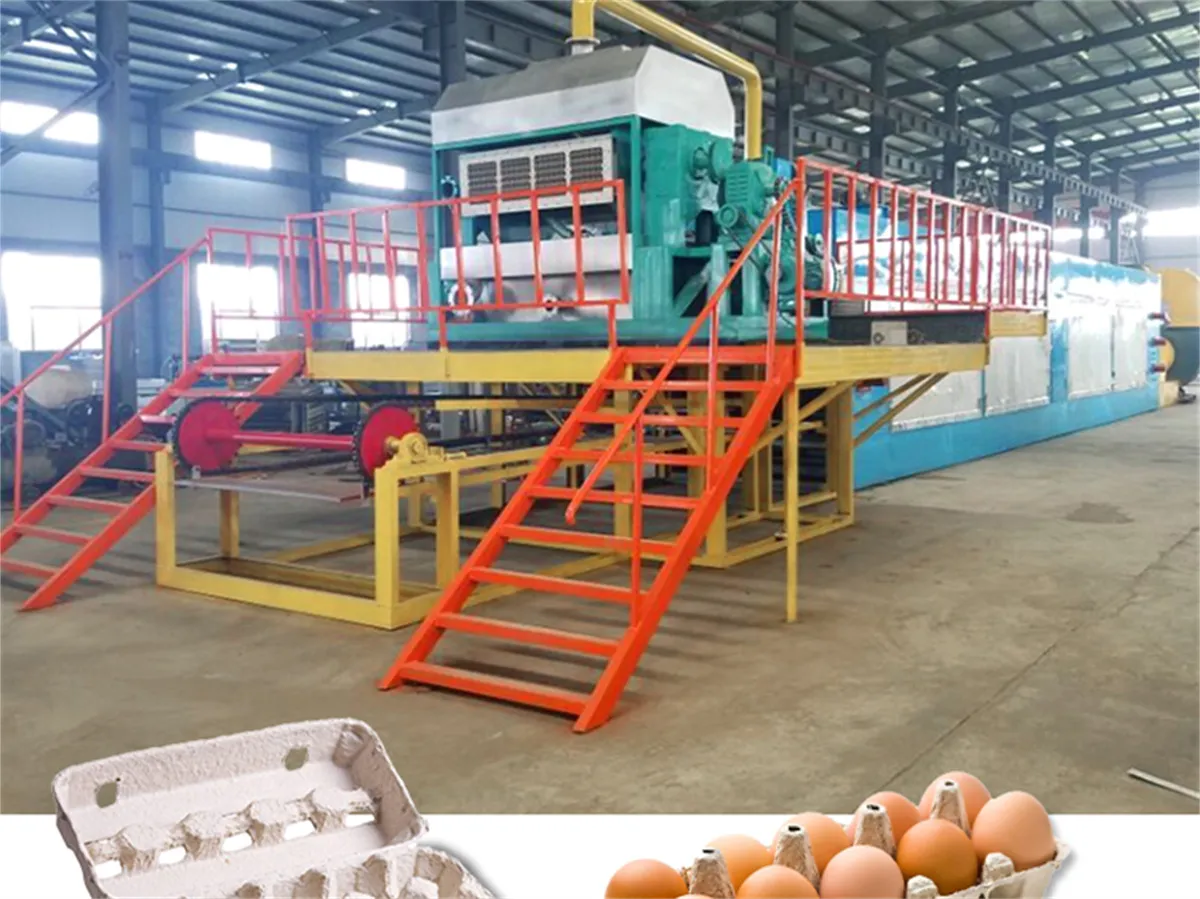 Egg Tray Machine