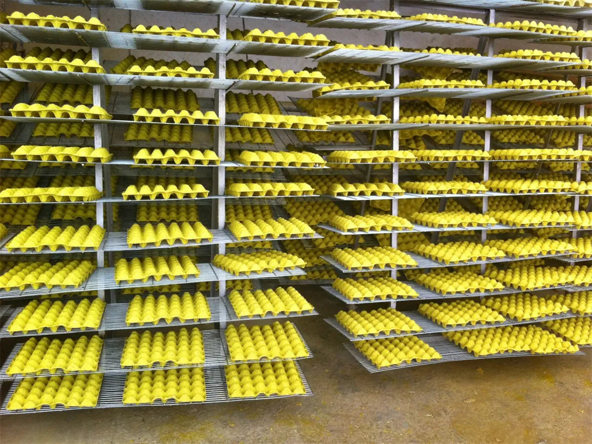 Egg Tray Machine