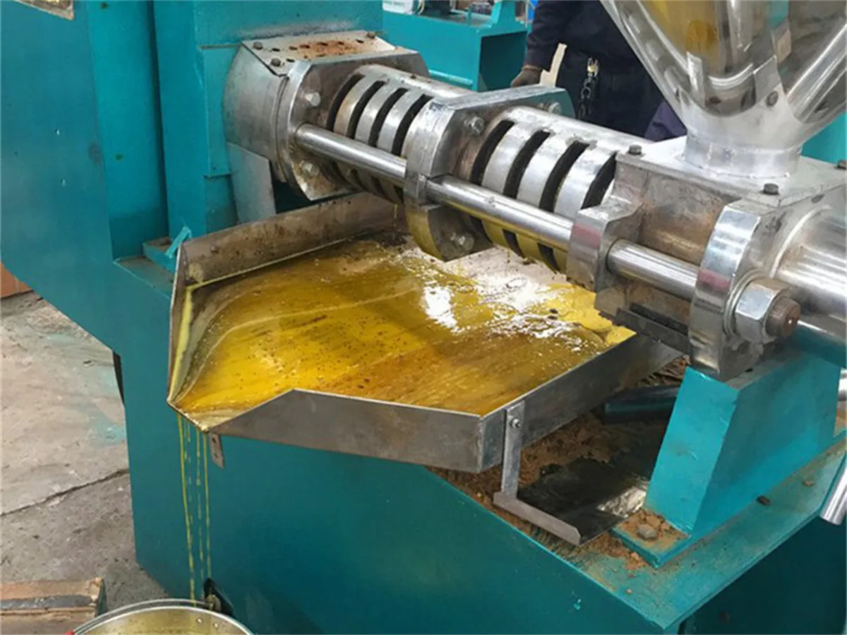 Cooking Oil Press Machine