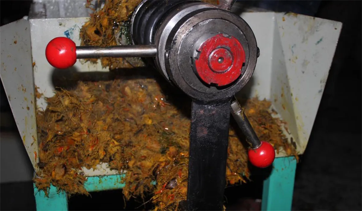 Palm Fruit Oil Press machine