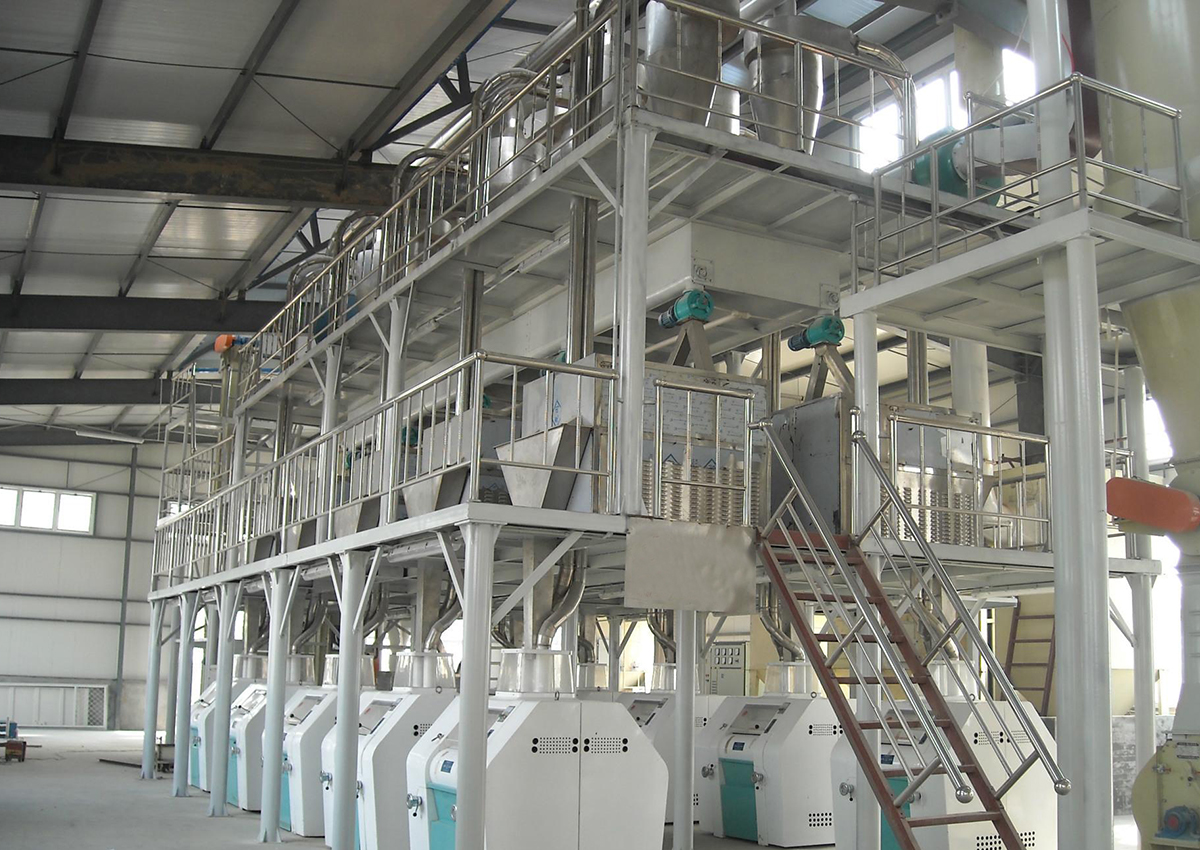 10-1000T/D Flour Production Line