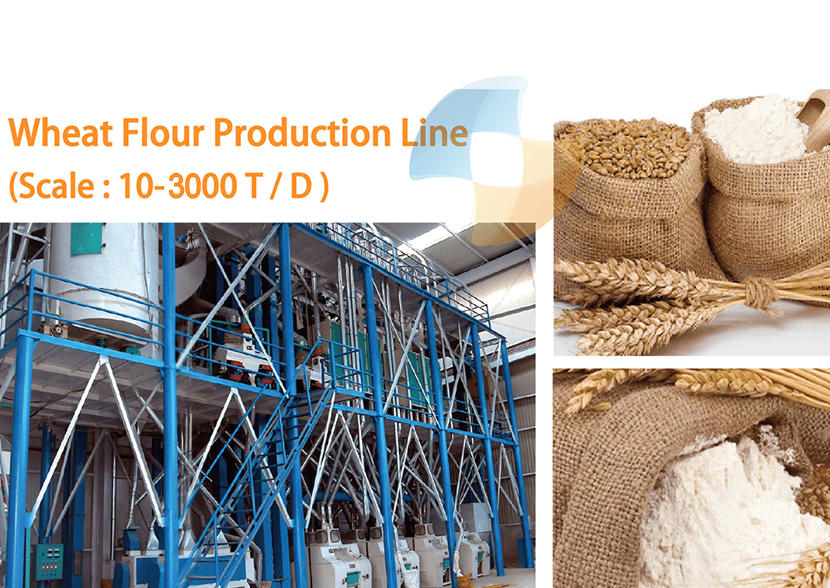 Wheat Flour Milling Project