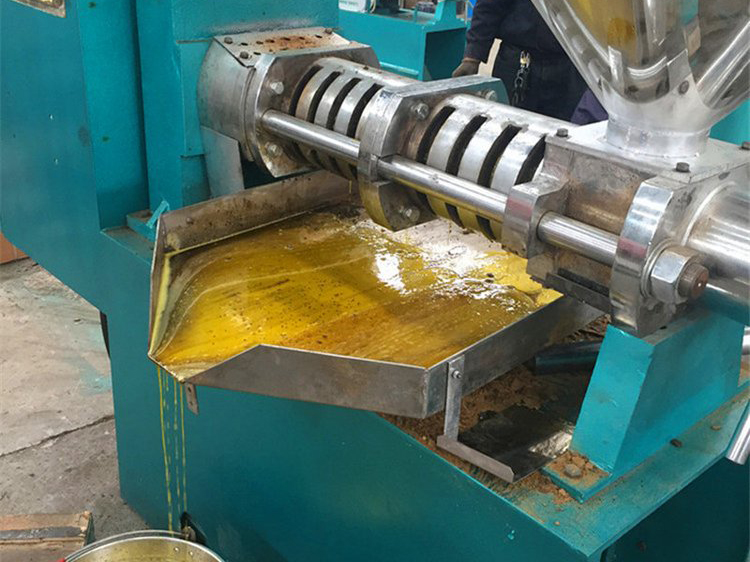 1-10 TPD Small Edible Oil Production Line