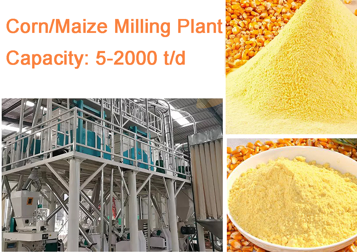 Corn Flour Milling Project