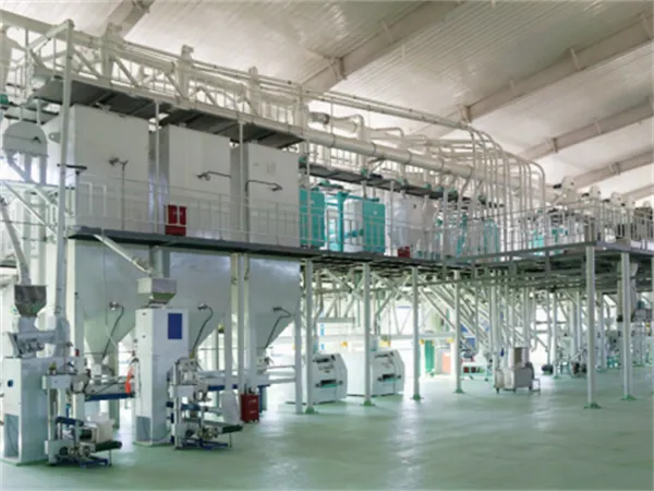 50-100 TPD Corn Milling Plant