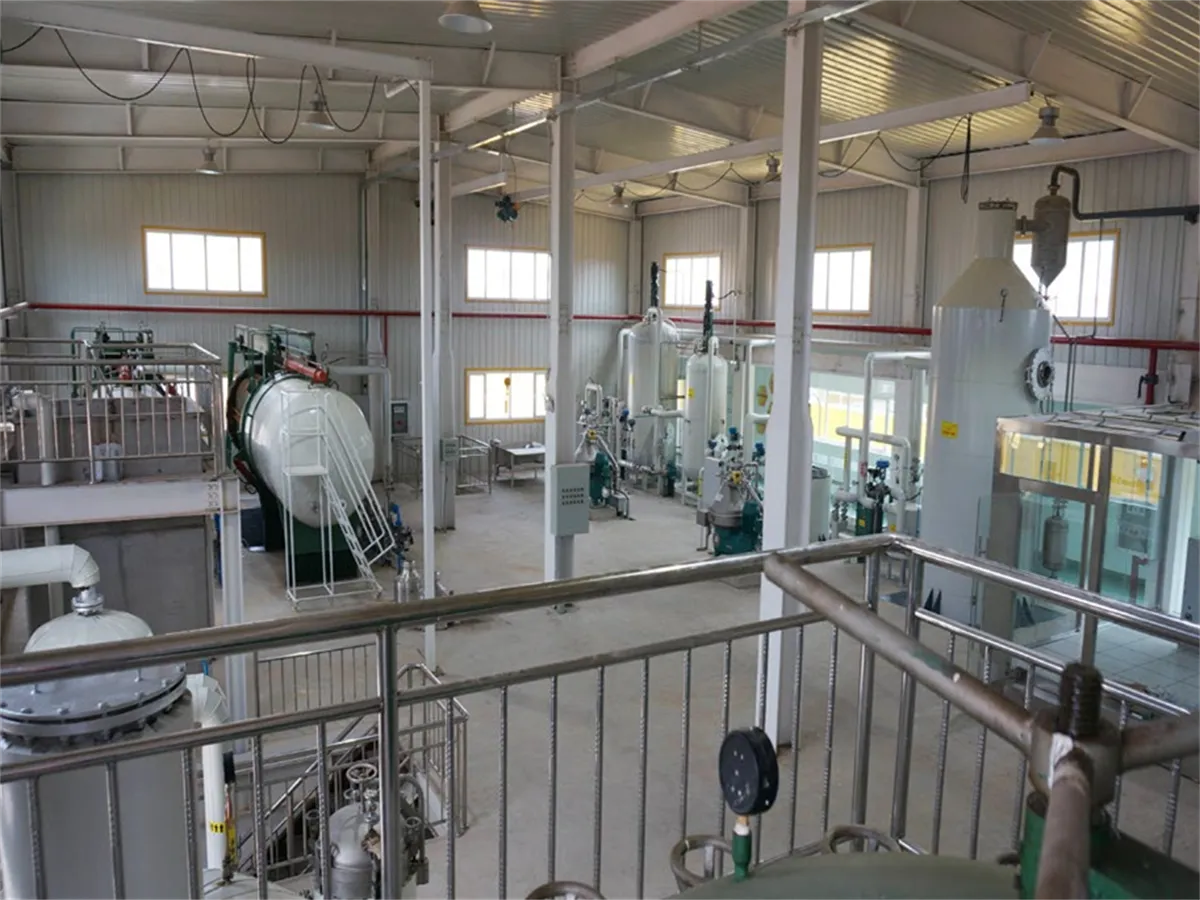 Edible Oil Refinery Plant