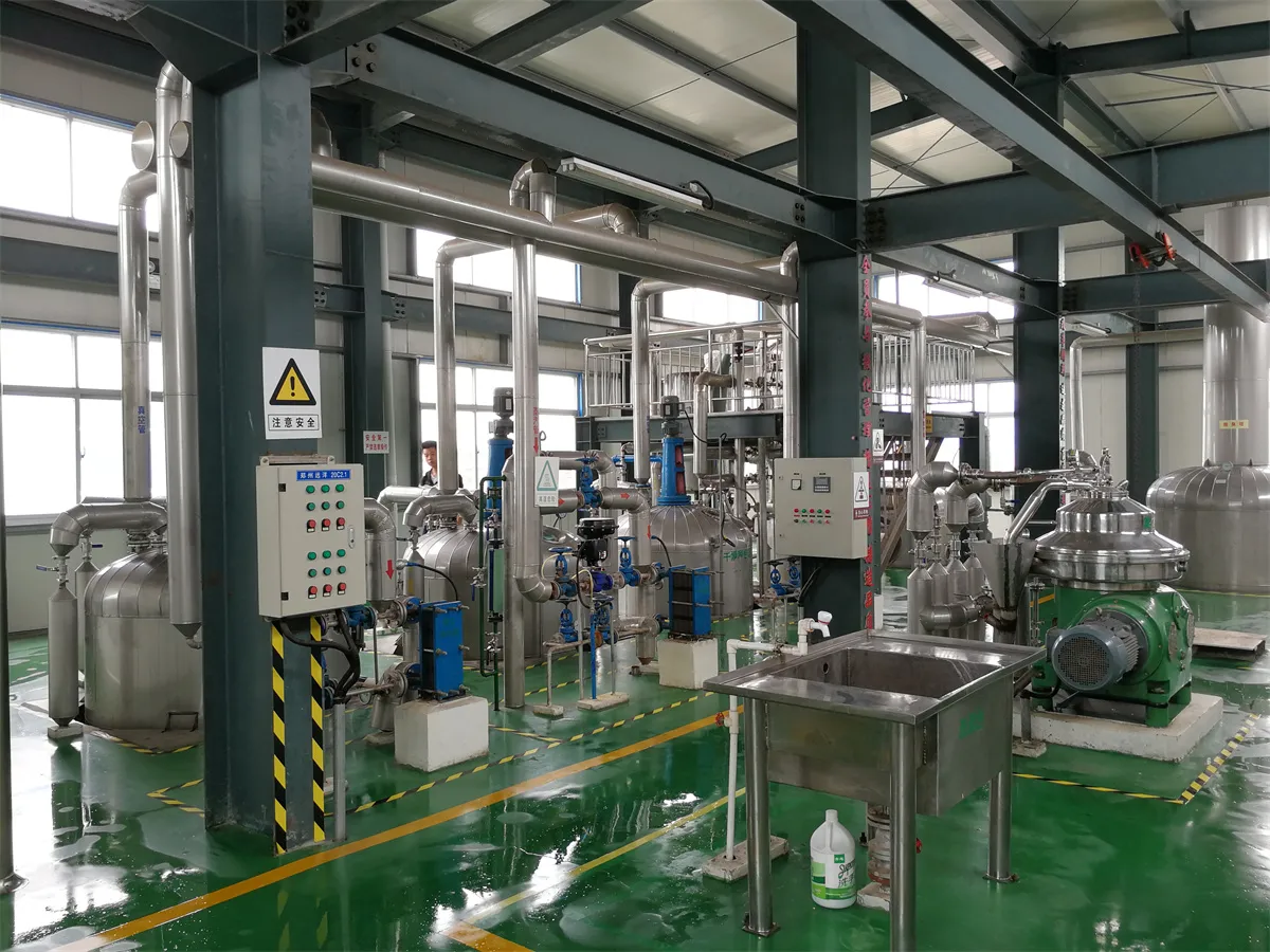 Edible Oil Refinery Plant